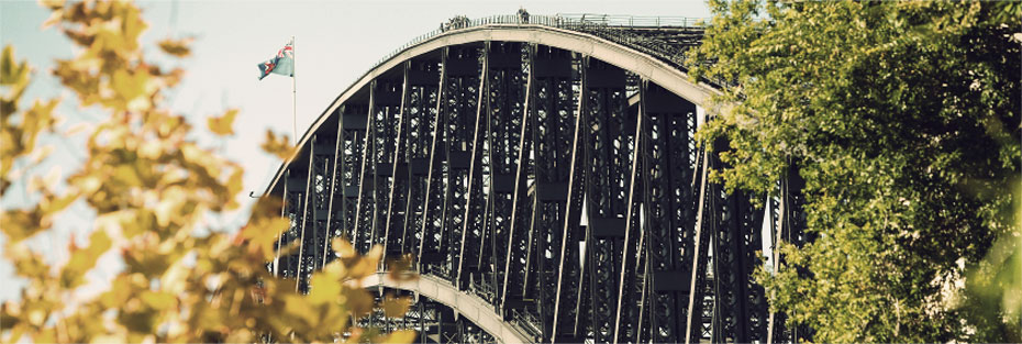 contact-banner